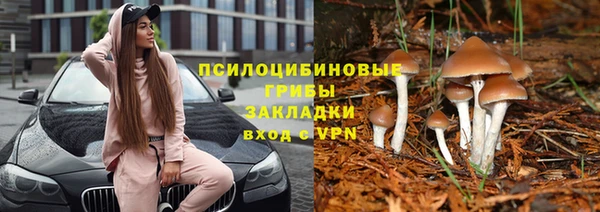 бошки Тавда