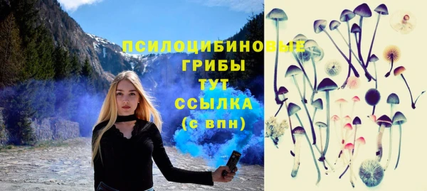 соль ск Верхнеуральск
