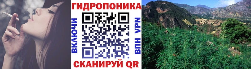 Канабис Amnesia kraken вход Оса